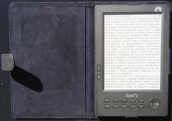 e-ink LBook Reader V3: вот так выглядит e-ink экран на пляже